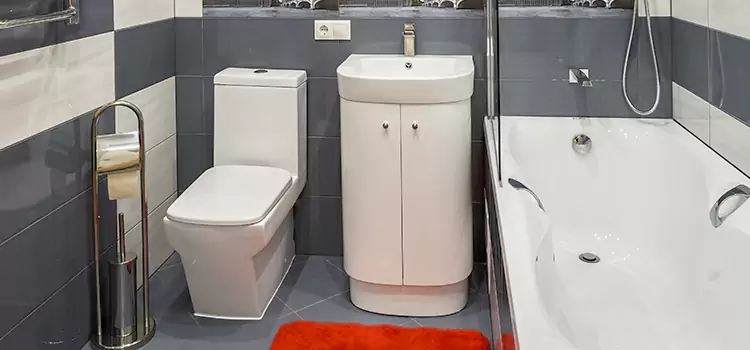 Hansgrohe Shaving Mirror Jonesboro
